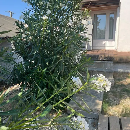 Helles Freundliche Fuer Naturisten Fkk Auf Korsika Σπίτι διακοπών