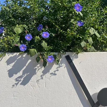 Helles Freundliche Für Naturisten Fkk Auf Korsika Сasa de vacaciones *