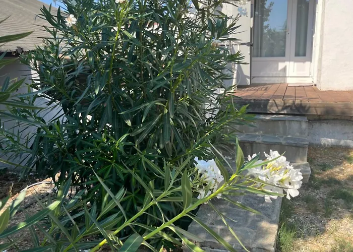 Helles Freundliche Fuer Naturisten Fkk Auf Korsika بيت للعطل