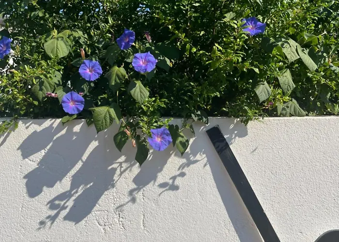 Helles Freundliche Fuer Naturisten Fkk Auf Korsika Vakantiehuis *